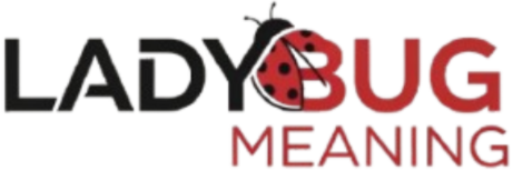 ladybugmeaning.com