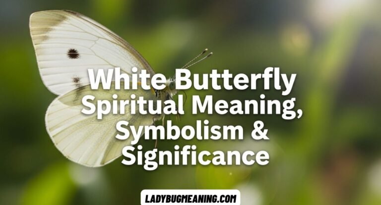 White Butterfly Spiritual Meaning