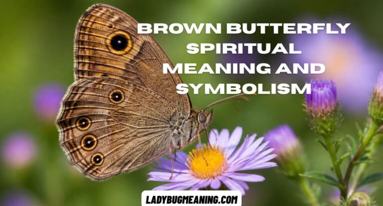 Brown Butterfly Spiritual Meaning and Symbolism
