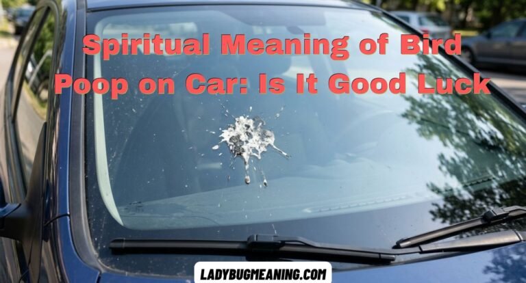 Spiritual Meaning of Bird Poop on Car: Is It Good Luck
