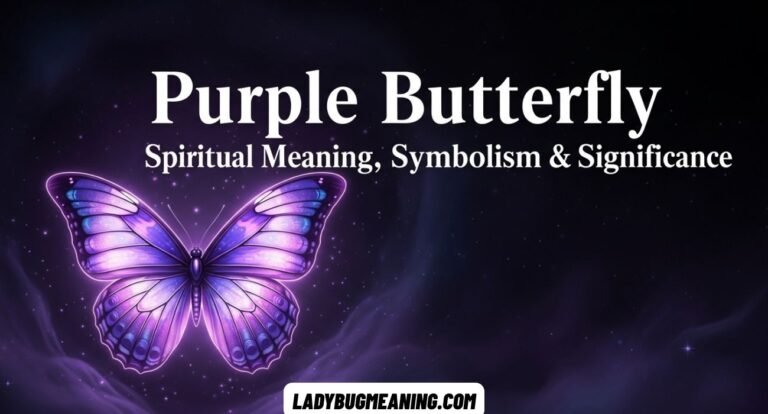 Purple Butterfly Spiritual Meaning, Symbolism & Significance